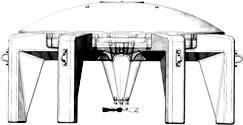 Honu side view drawing