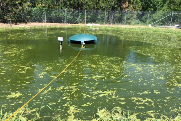 lagoon test two